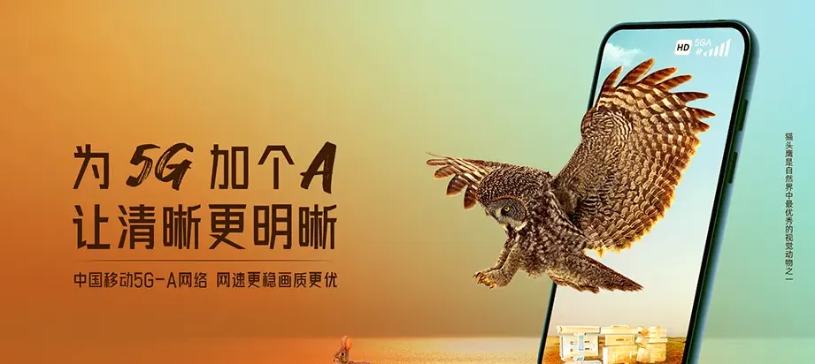 盘县盘州市大山镇 移动宽带
